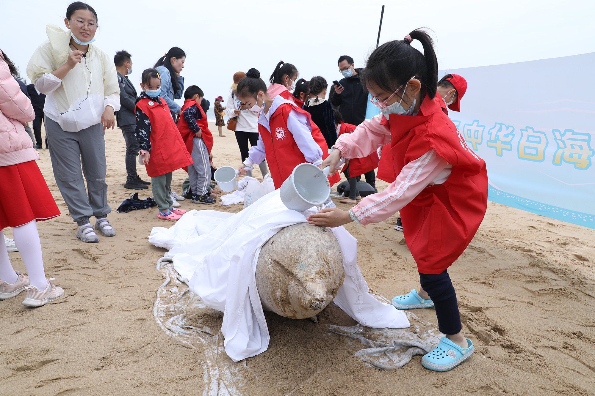 中华白海豚救护研学 (1).JPG